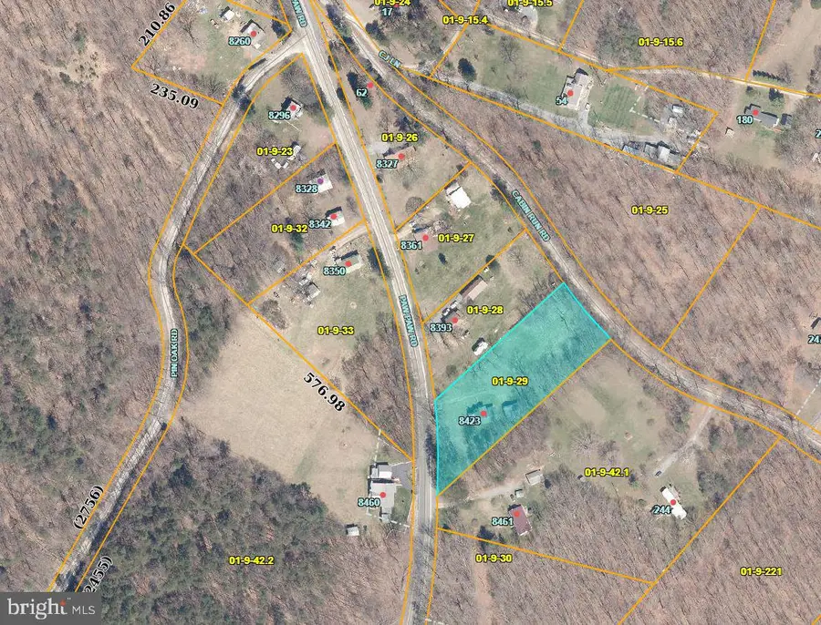 8423 Paw Paw Rd, Paw Paw, WV 25434 - #2