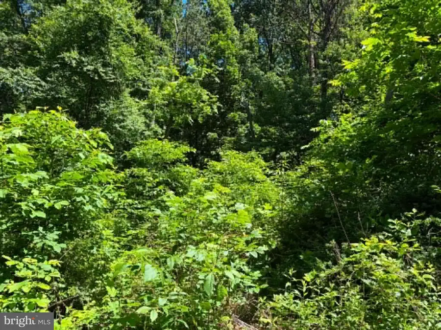 51 Cabin Rd, Augusta, WV 26704 - #2