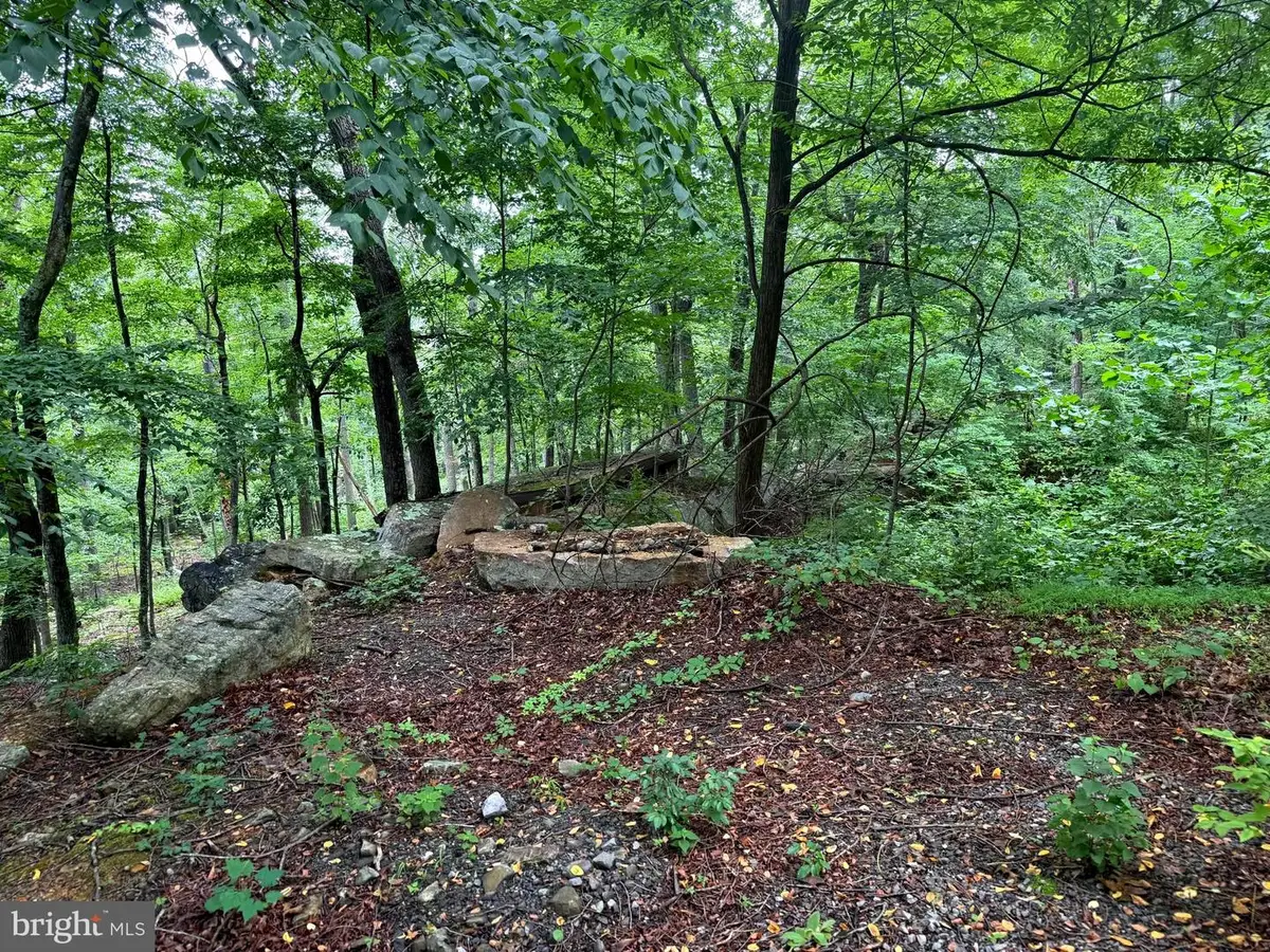 Tr D-15 Deer Path Rd, Augusta, WV 26704 - #1