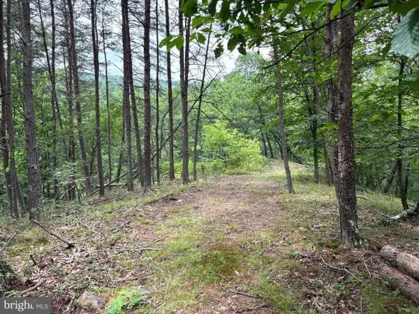 Lot 126 Bluffs Blue Beach Road, SPRINGFIELD, WV 26763