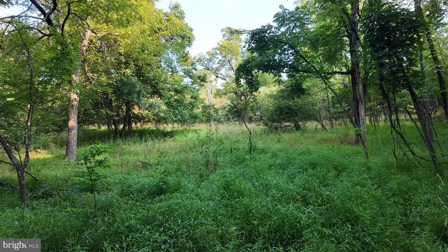 Lot 203 Graces Cabin Rd, Romney, WV 26757 - #2