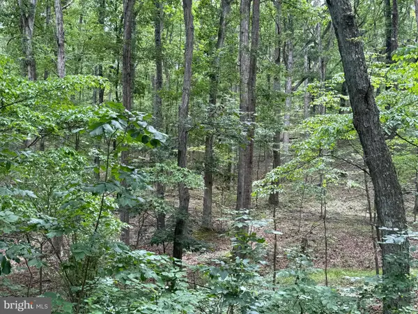8.34 Acres On Arnold Stickley Rd., GREEN SPRING, WV 26722