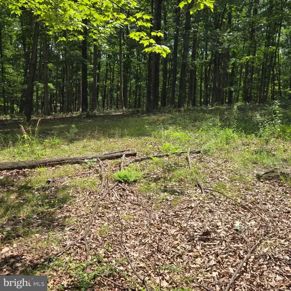Lots 24 -25 Ashley Ct, SHANKS, WV 26761