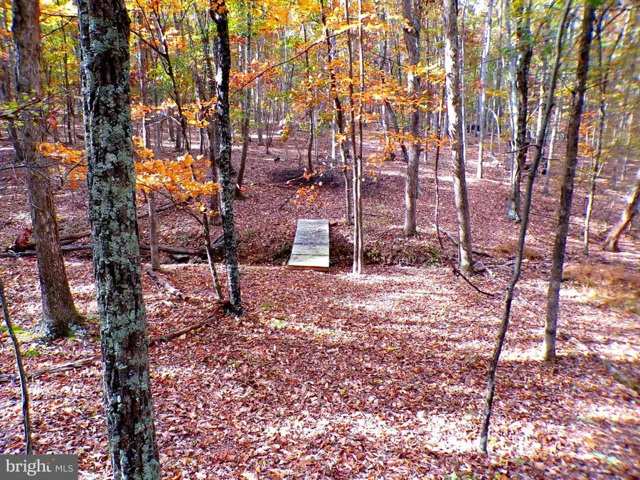 Lot 29 Deer Ridge Estates, Springfield, WV 26763 - #2