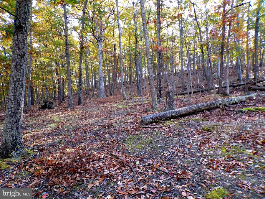 Lot 29 Deer Ridge Estates, Springfield, WV 26763 - #3