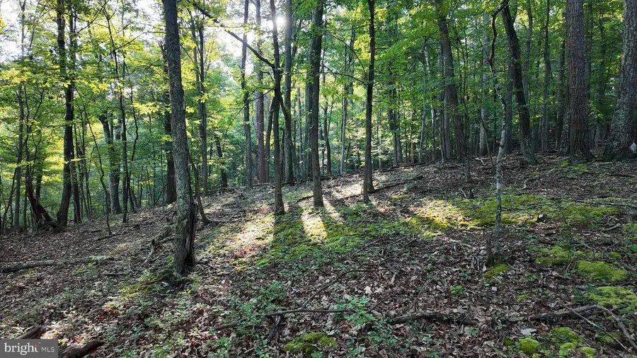 Racey Rd, Augusta, WV 26704 - #2