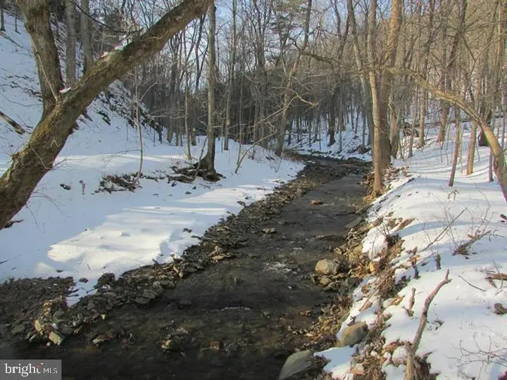 190 Bluffs On The Potomac, Romney, WV 26757 - #2