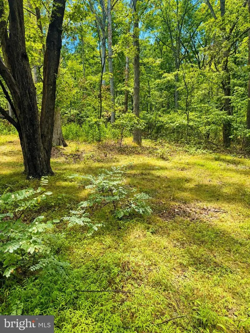 903 Pin Oak Rd, Paw Paw, WV 25434 - #3