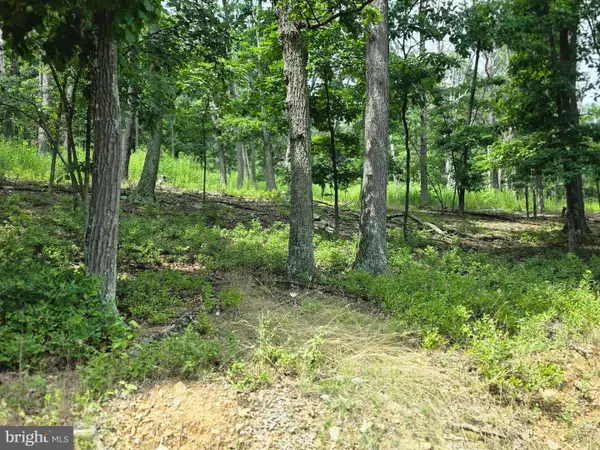 Lots 6 & 7 Pioneer Ln, CAPON BRIDGE, WV 26711