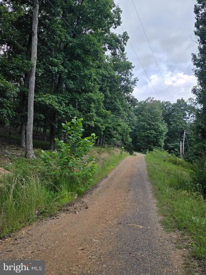 Lots 6 & 7 Pioneer Ln, Capon Bridge, WV 26711 - #2