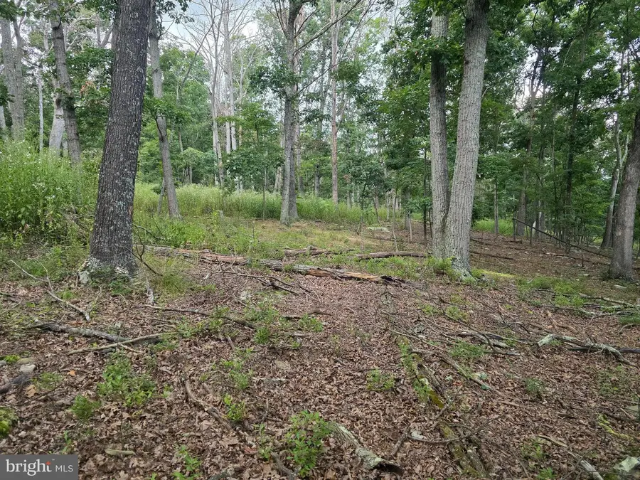 Lots 6 & 7 Pioneer Ln, Capon Bridge, WV 26711 - #3