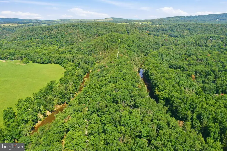 547 Twin Flower Ln, Capon Bridge, WV 26711 - #2