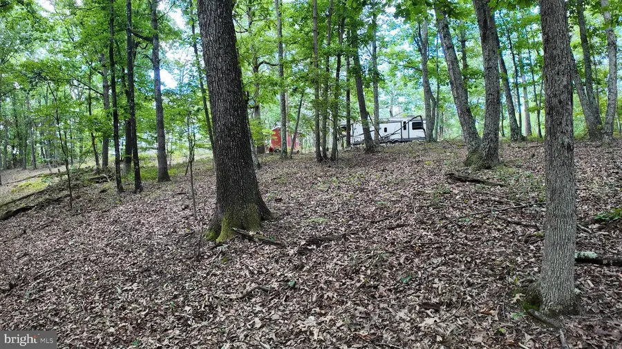 1552 Old Smith Farm Rd, Green Spring, WV 26722 - #3