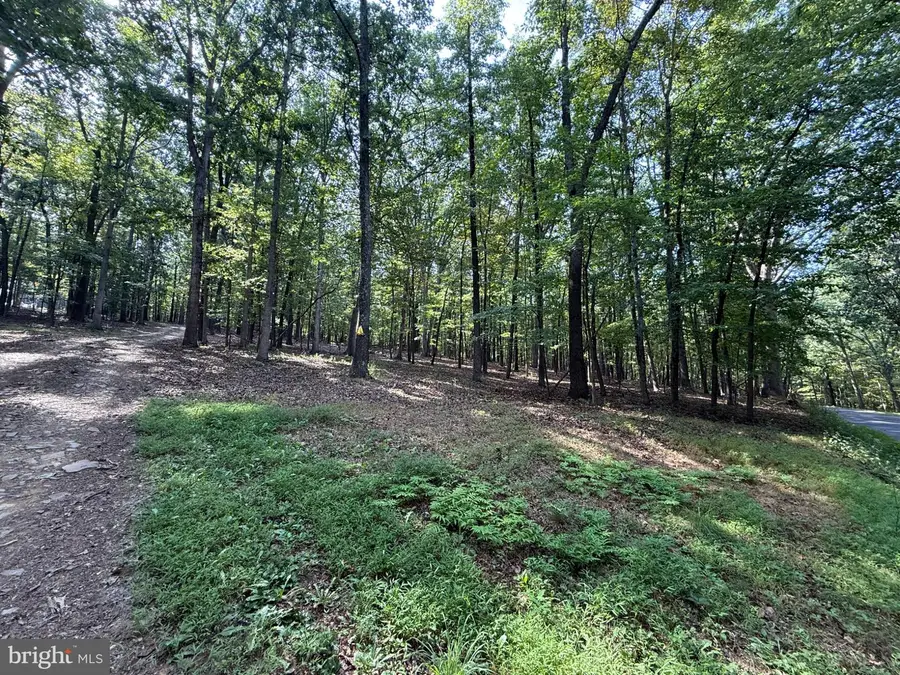 6376 Spring Gap Rd, Slanesville, WV 25444 - #2