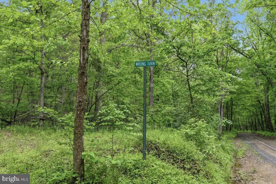 Dave Moreland Rd, Slanesville, WV 25444 - #2