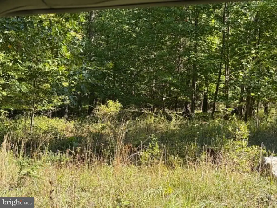 669 Capon Woods Resort Rd #lot 19, High View, WV 26808 - #2
