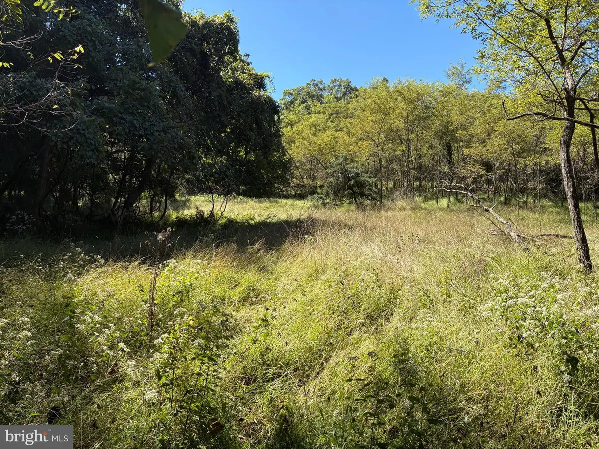 Lot 205 Graces Cabin Rd, Springfield, WV 26763 - #1
