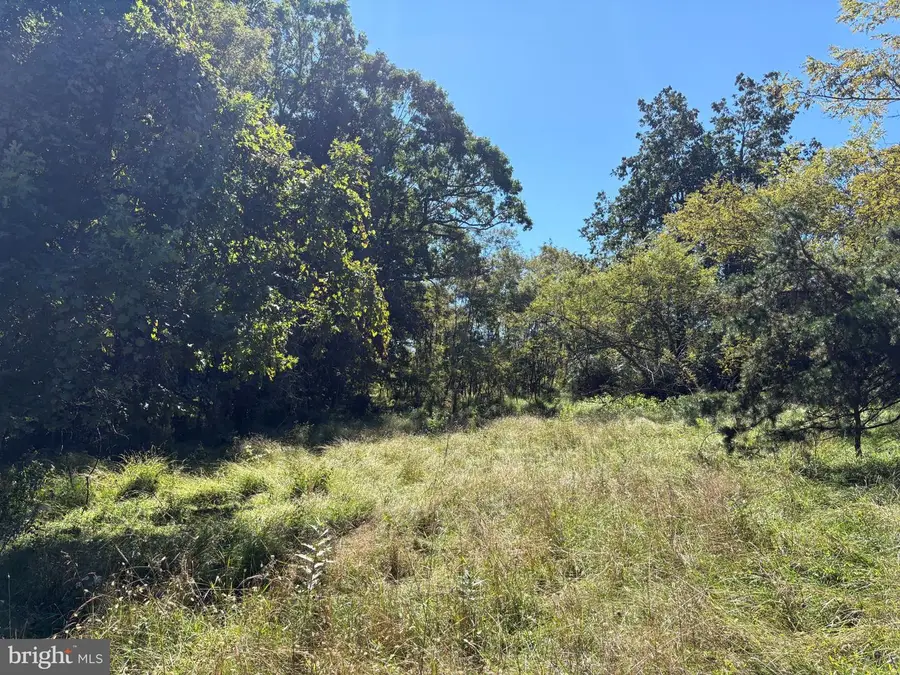 Lot 205 Graces Cabin Rd, Springfield, WV 26763 - #2