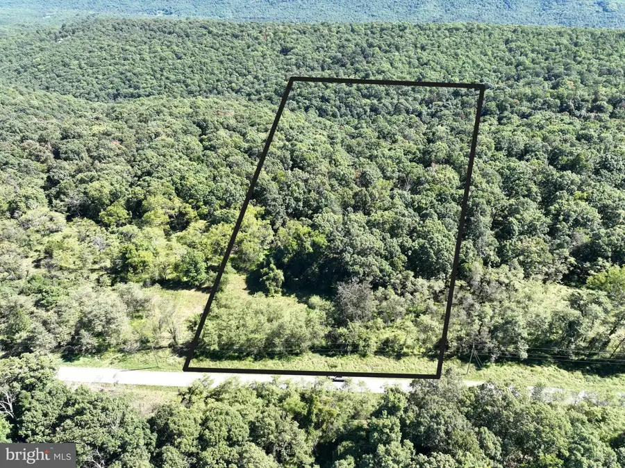 Lot 205 Graces Cabin Rd, Springfield, WV 26763 - #3
