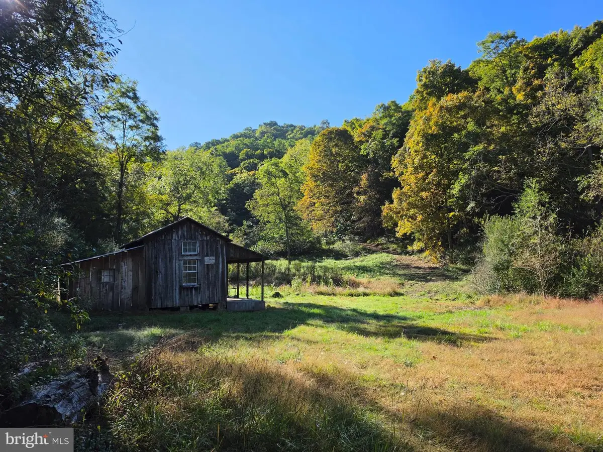 Lots 5 & 6 Proctor Rd, Purgitsville, WV 26852 - #1
