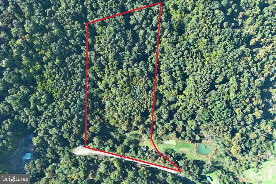 Lots 5 & 6 Proctor Rd, Purgitsville, WV 26852 - #3