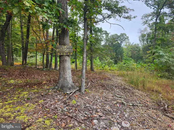 Lot 17 Quaker Lake Trl, CAPON BRIDGE, WV 26711