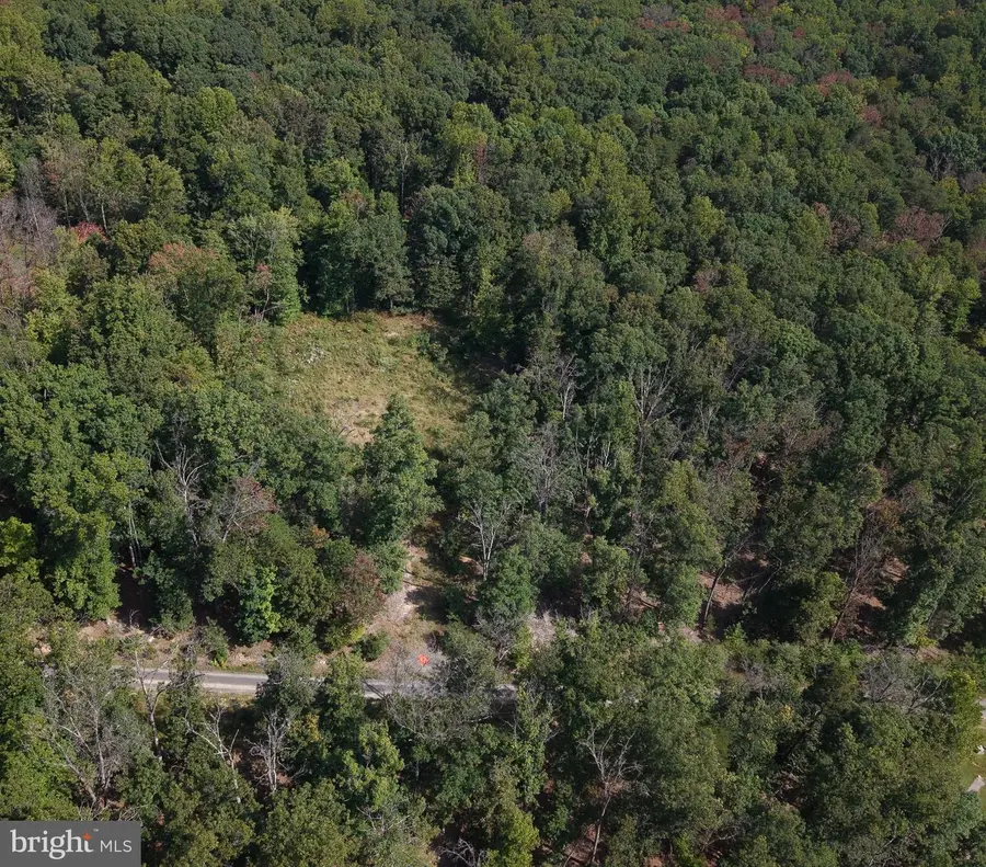 Lot 17 Quaker Lake Trl, Capon Bridge, WV 26711 - #2