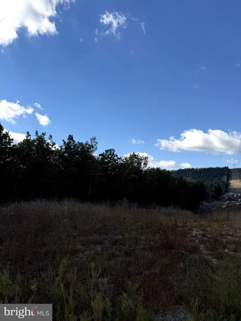 Lot 10b 35ac Reymann Drive, Yellow Spring, WV 26865 - #3