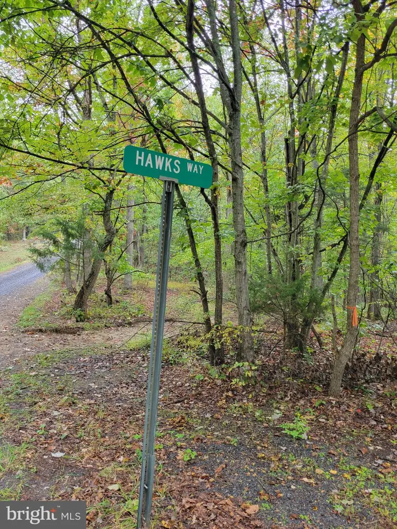 Hawks Way, Delray, WV 26714 - #1