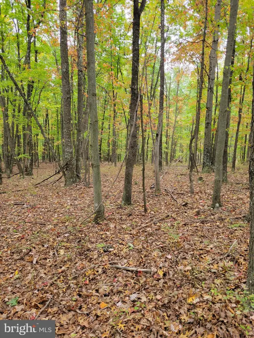 Firecracker Ln, Delray, WV 26714 - #1