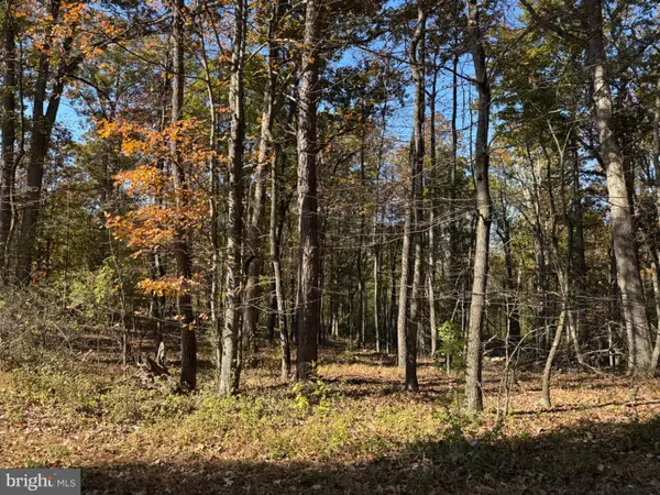 Blossom Rd, ROMNEY, WV 26757