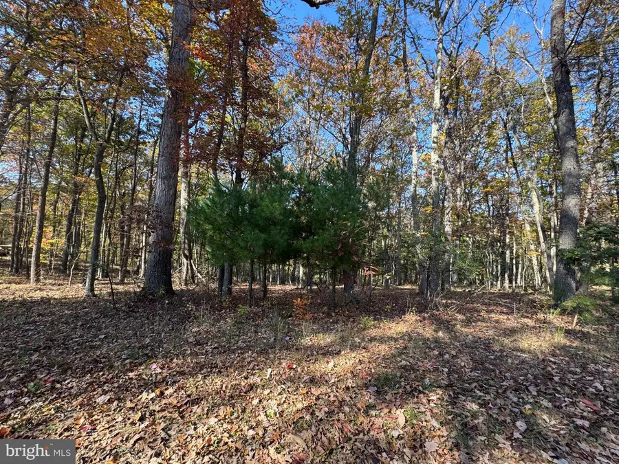 Blossom Rd, Romney, WV 26757 - #2
