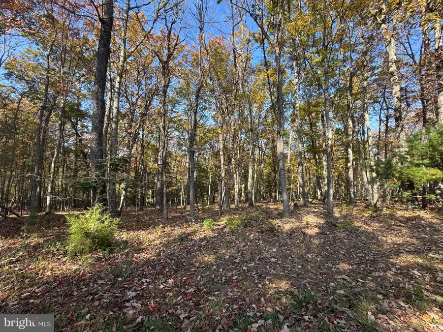 Blossom Rd, Romney, WV 26757 - #3