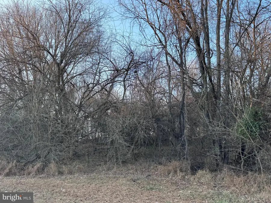 Lot 8-6.1 Shepherd Lane, Shepherdstown, WV 25443 - Image #2