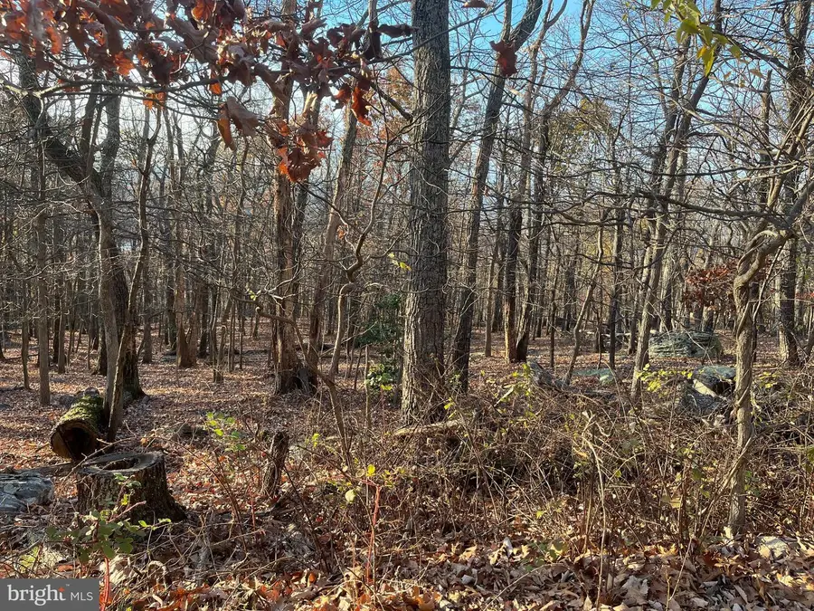 Stone Ridge Rd, Harpers Ferry, WV 25425 - Image #2