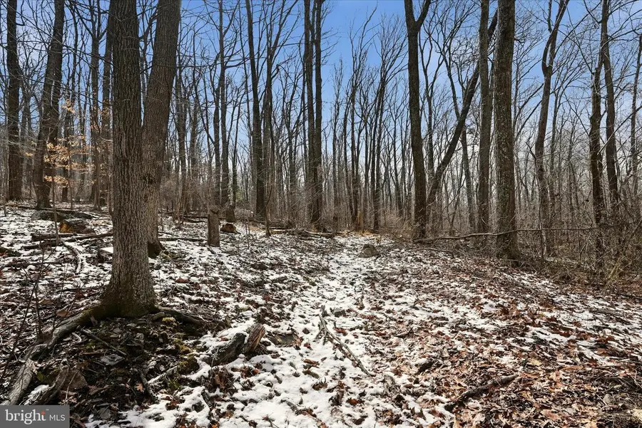 Lots 123 & 124 Tulip Tree Way, Harpers Ferry, WV 25425 - #2