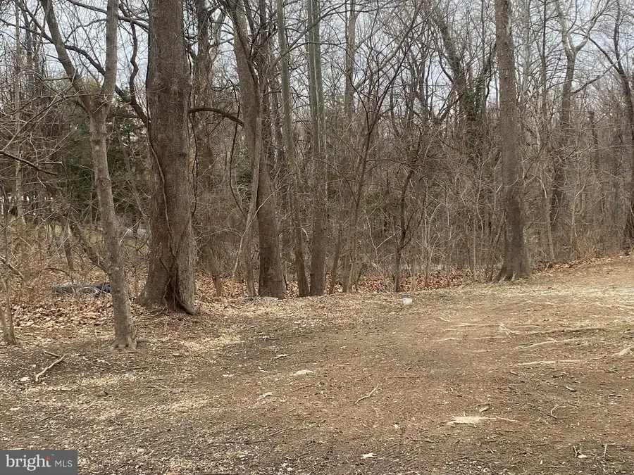 Estes Way, Harpers Ferry, WV 25425 - #2