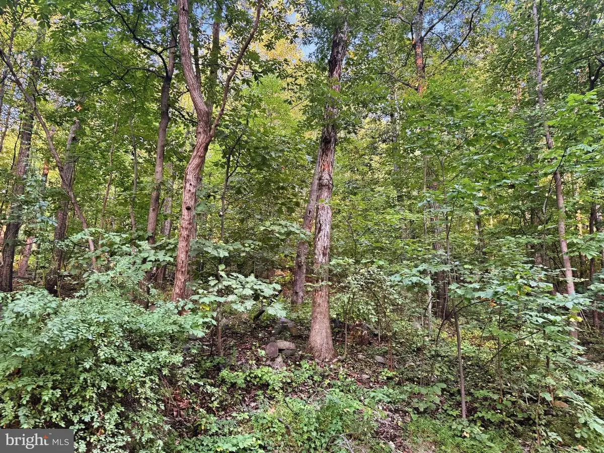 Lots 14-18 Red Maple Ln, Harpers Ferry, WV 25425 - #1