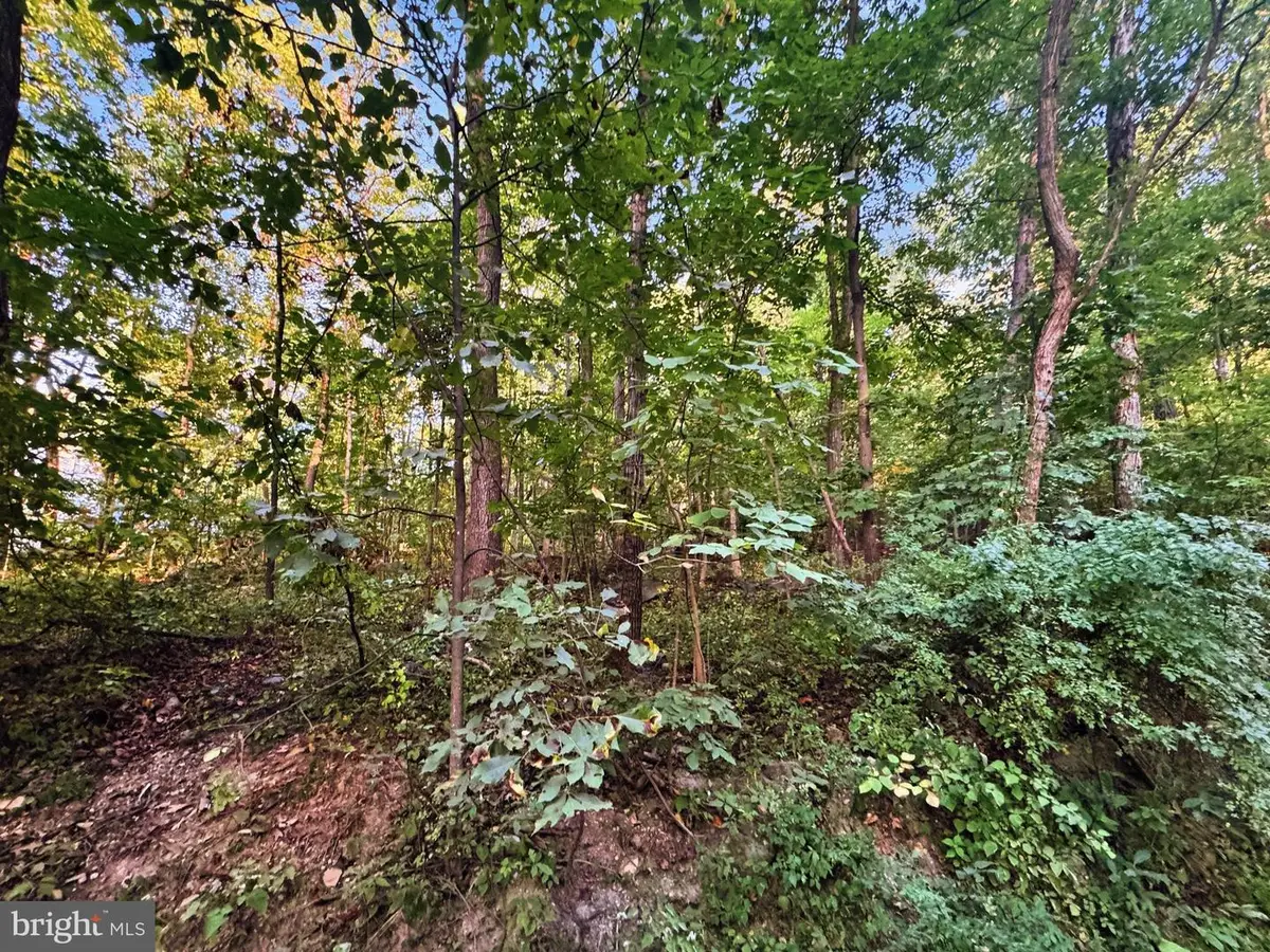 Lots 19-20 Red Maple Ln, Harpers Ferry, WV 25425 - #1