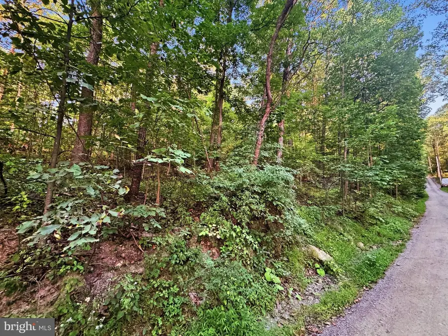 Lots 19-20 Red Maple Ln, Harpers Ferry, WV 25425 - #3