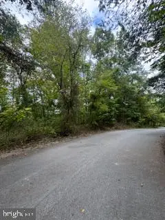 Conifer Ct, Harpers Ferry, WV 25425 - #2