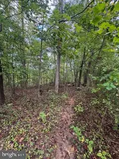 Conifer Ct, Harpers Ferry, WV 25425 - #3