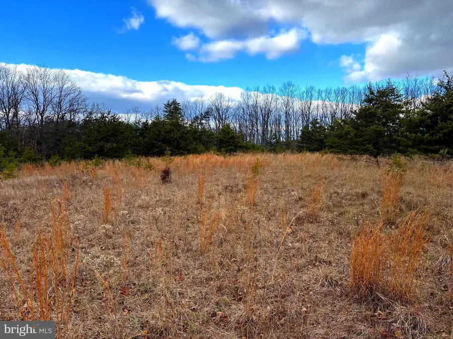 1489 Painter Hollow Rd, Fort Ashby, WV 26719 - Image #3