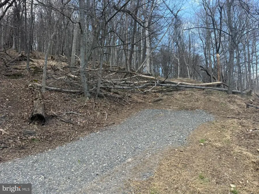 Waxler Rd, Keyser, WV 26726 - #3