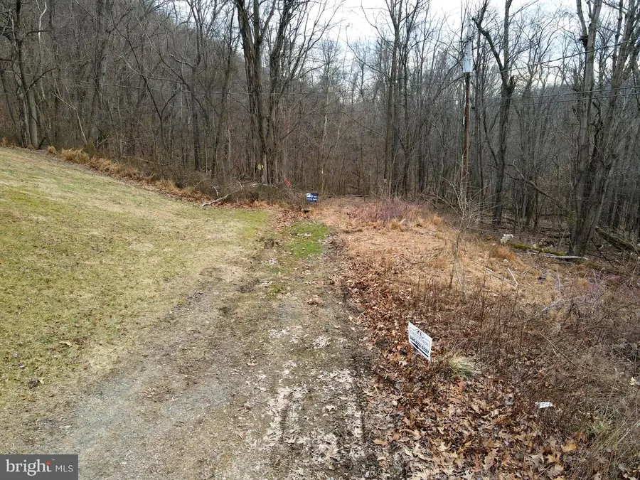 Lot B & Lot E S. Virginia Avenue, Ridgeley, WV 26753 - #2