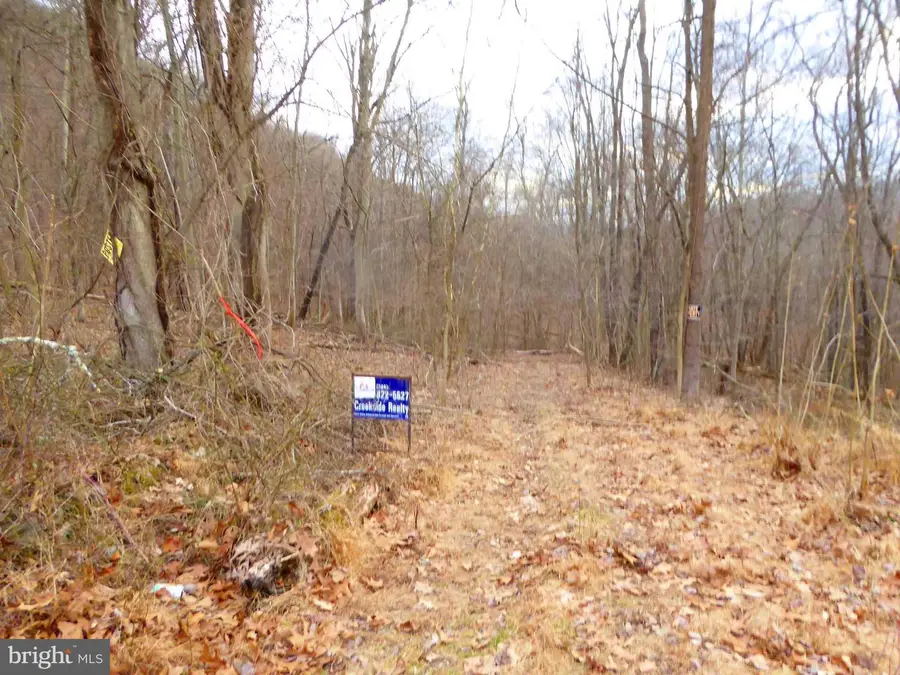 Lot B & Lot E S. Virginia Avenue, Ridgeley, WV 26753 - #3