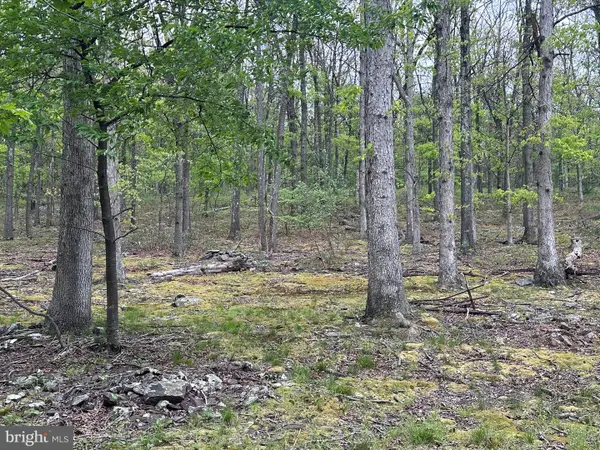 0 Cut Off Road, KEYSER, WV 26726