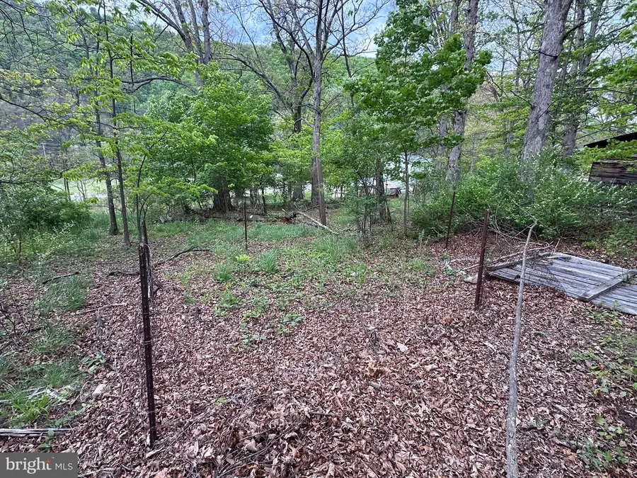 0 Cut Off Road, Keyser, WV 26726 - #2