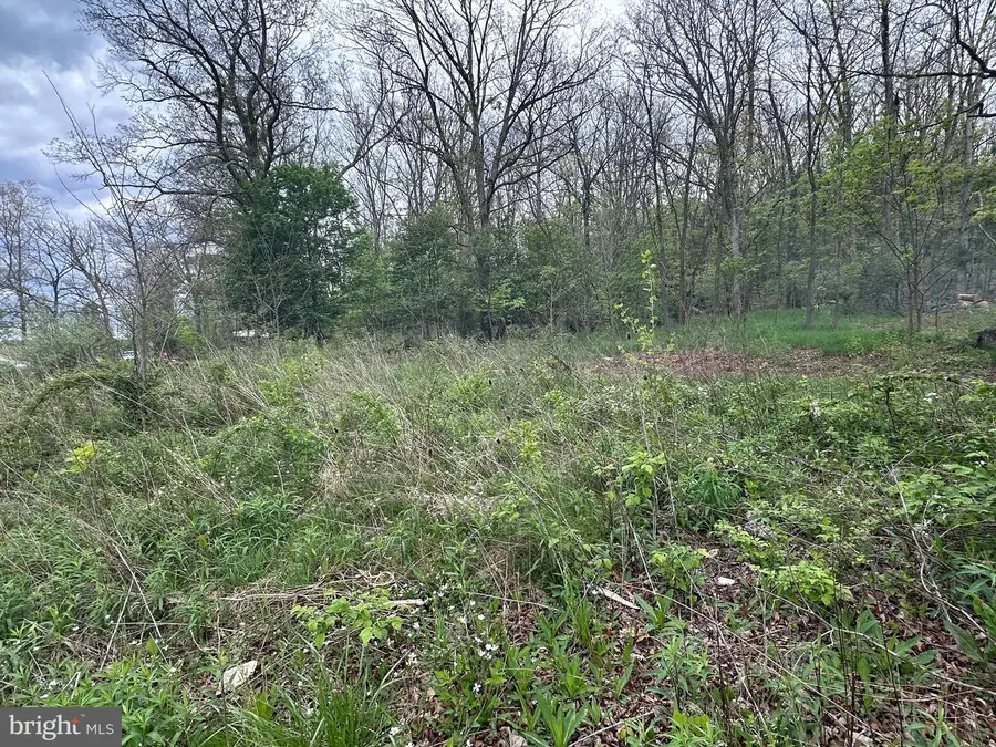 0 Cut Off Road, Keyser, WV 26726 - #3