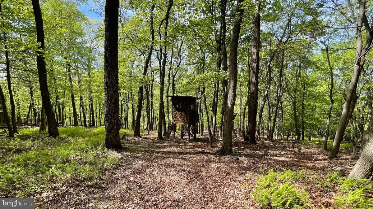 133.944 Acres Russelldale Rd, Burlington, WV 26710 - #1